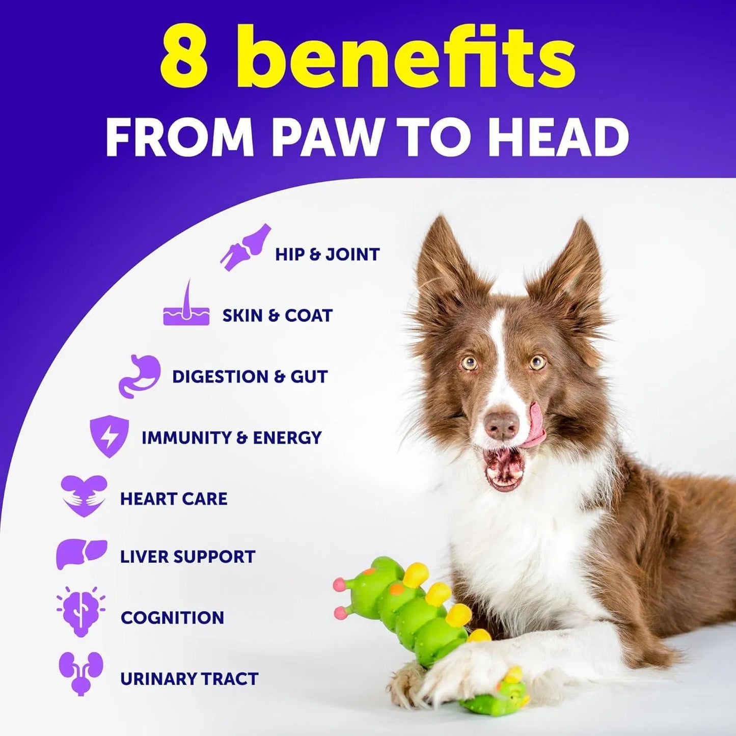 Multivitamin Treats