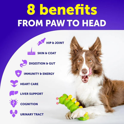 Multivitamin Treats
