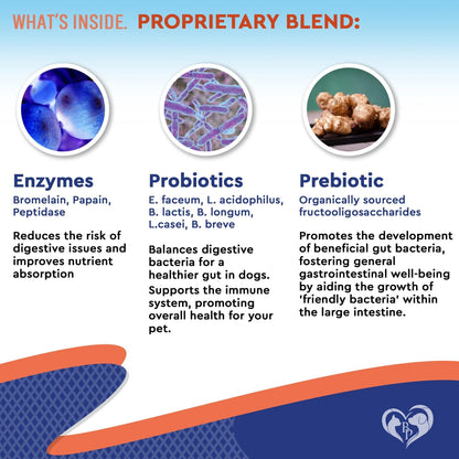 Pre & Probiotic Pet Supplement Drops