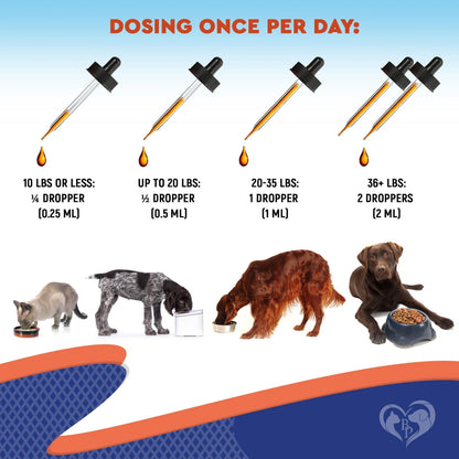 Pre & Probiotic Pet Supplement Drops